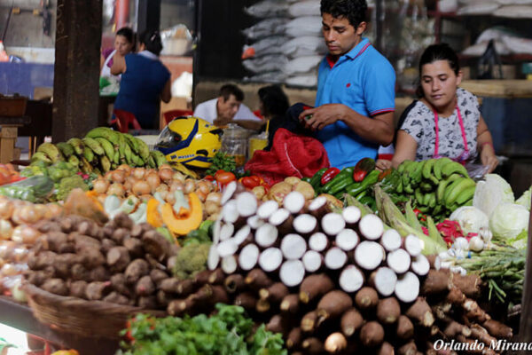 MIFIC presenta precios promedio de la canasta básica