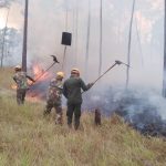 Ejército de Nicaragua participa en sofocación de incendio forestal en el municipio de Waspam