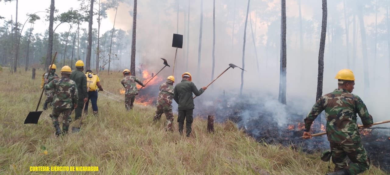Ejército de Nicaragua participa en sofocación de incendio forestal en el municipio de Waspam