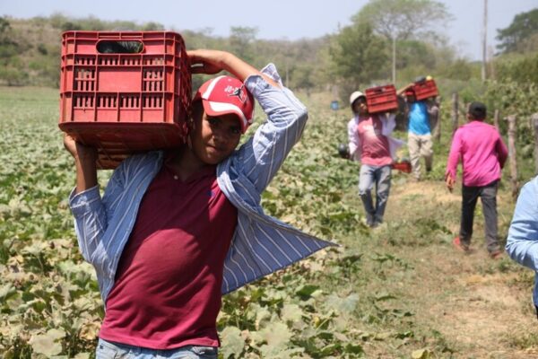 Finca Cuatro Esquinas, un buen ejemplo del uso de tecnologías agropecuarias