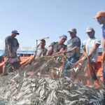 Aumentan divisas en sector pesquero nicaragüense