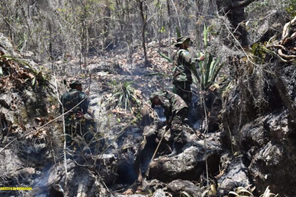 Ejército de Nicaragua participa en sofocación de incendio forestal en Matagalpa