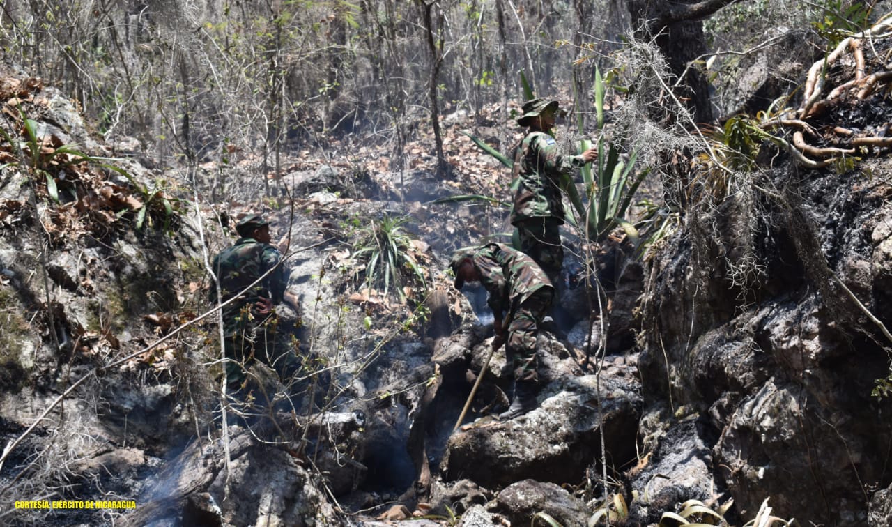 Ejército de Nicaragua participa en sofocación de incendio forestal en Matagalpa