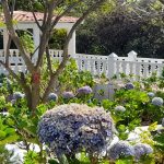 Inauguran Parque Las Mil Flores en El Crucero