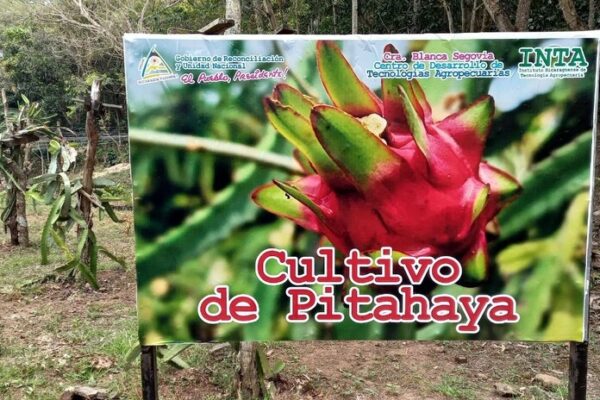 GRUN a través del INTA inauguró nuevo Centro de Desarrollo de Tecnologías Agropecuarias, “Compañera Blanca Segovia”,