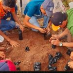 Presentan resultados exitosos de la campaña «Verde que te quiero Verde»