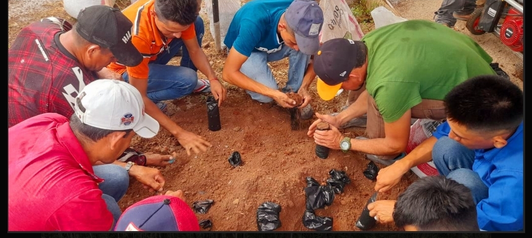 Presentan resultados exitosos de la campaña «Verde que te quiero Verde»