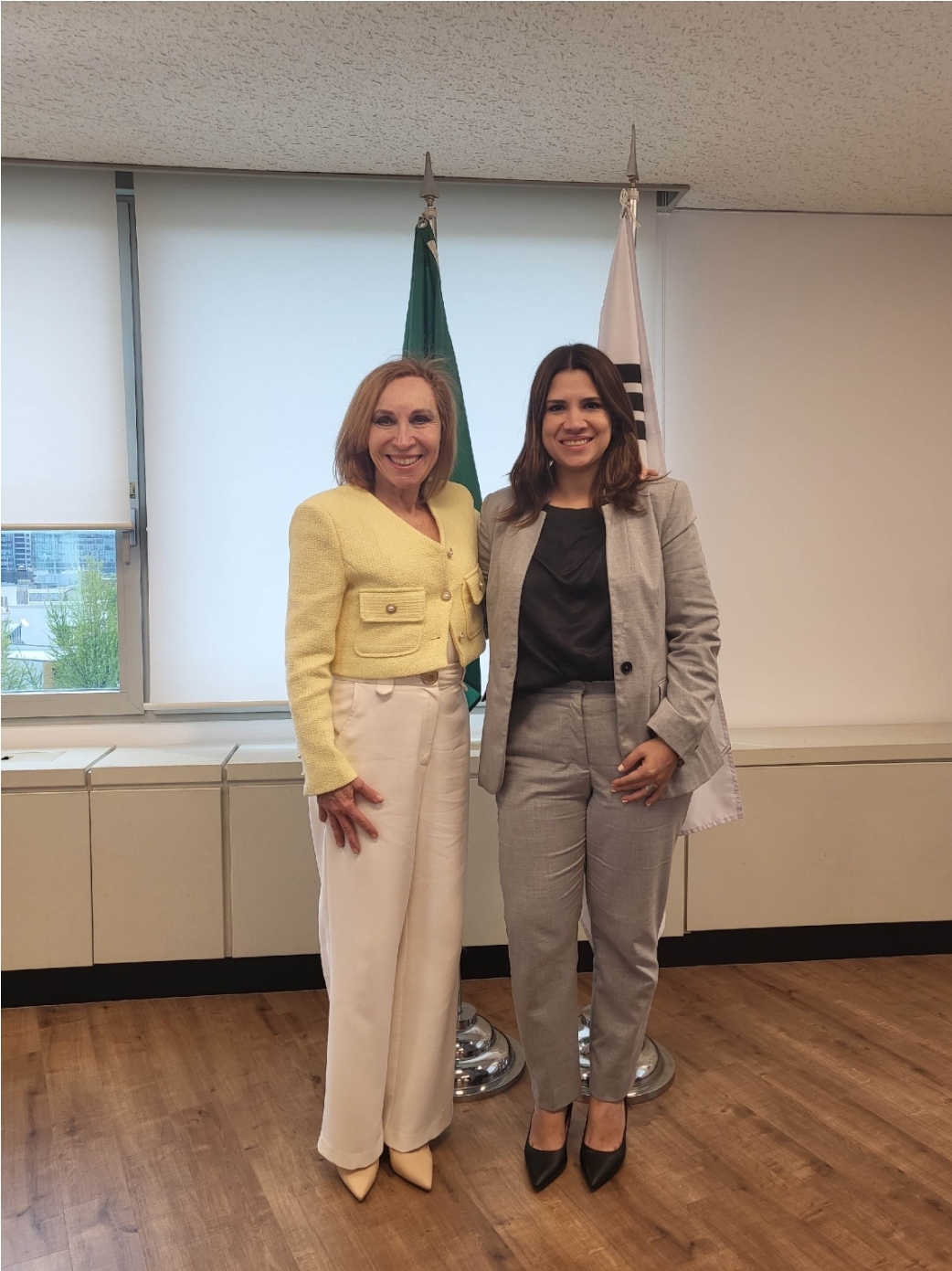 Encargada de Negocios de Nicaragua en Corea en reunión con Embajadora de Brasil