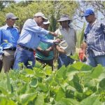 Capacitan a productores de semilla en el inicio de la siembra de primera