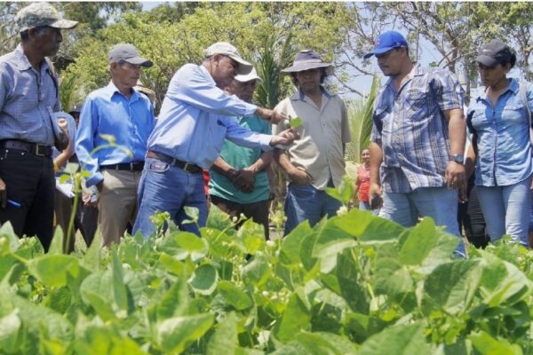 Capacitan a productores de semilla en el inicio de la siembra de primera