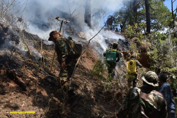Ejército de Nicaragua participa en sofocación de incendio en municipio de Matagalpa