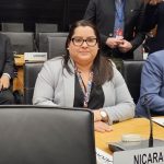 Delegación del GRUN en Austria participó en el Quinto Periodo de Sesiones del Comité Ad Hoc