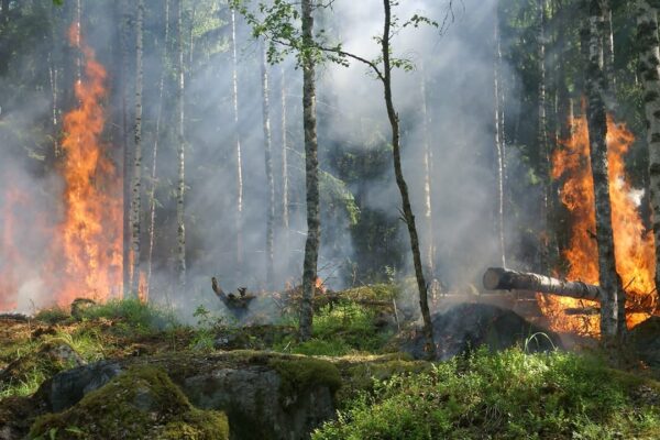 Vigilancia y verificación de incendios al 17 de abril del 2023 en todo el país
