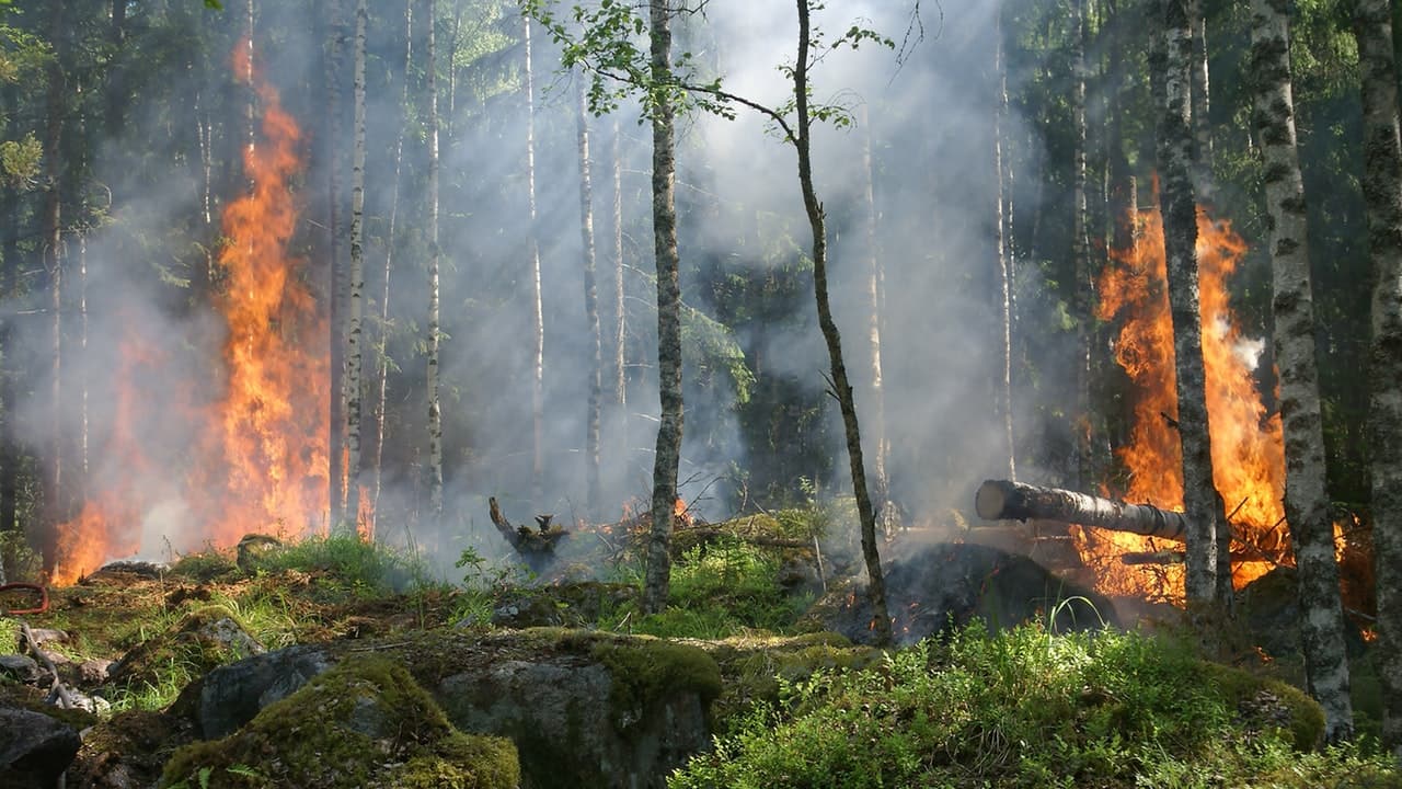 Vigilancia y verificación de incendios al 17 de abril del 2023 en todo el país
