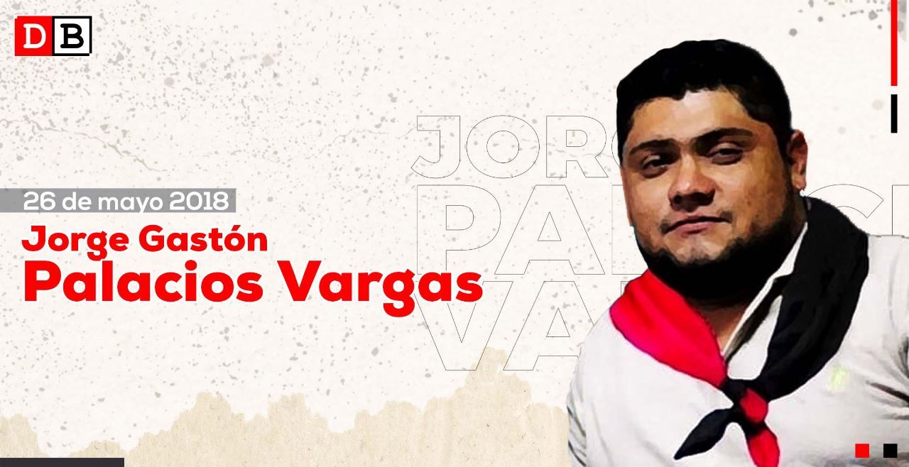 Jorge Gastón Palacios Vargas: Héroe de la Paz