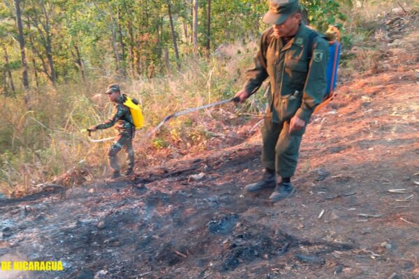 Ejercito participó en sofocación de incendio forestal en el Parque Ecológico Municipal “Cerro Canta Gallo”, en el municipio de Condega