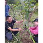 Rick Kohn: Lo que Aprendimos de Nicaragua sobre Agroecología