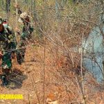 Ejército nicaragüense participa en sofocación de incendio forestal en las comunidades La Pita y El Horno, municipio de Jinotega