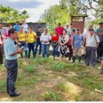 Celebran reuniones departamentales con productores de semilla para la época de primera