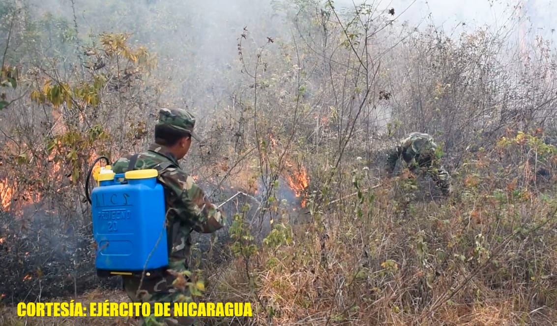 Ejército, instituciones y brigadistas comunitarios sofocan incendio forestal en comunidad de Matagalpa