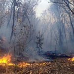 Reportan 11 puntos de calor en las 2 Regiones Autónomas de la Costa Caribe.