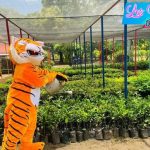 Gobierno Sandinista instala Viveros del Pueblo en diferentes municipios