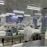 Caribbean Blue se establece en Bluefields con oportunidades laborales justas y dignas