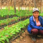 10 de mayo iniciará segunda etapa de la campaña Verde, que te quiero Verde