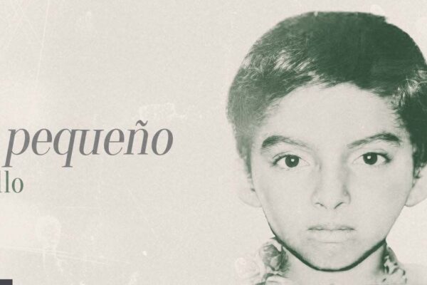El pequeño grillo