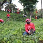 Claro presenta programa en homenaje al Día Nacional del Árbol
