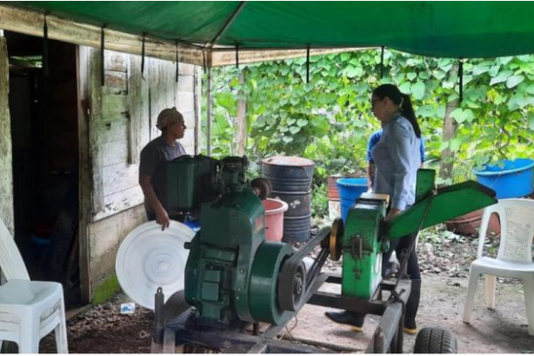 Aceite de coco un producto que cada día obtiene mayor valor agregado