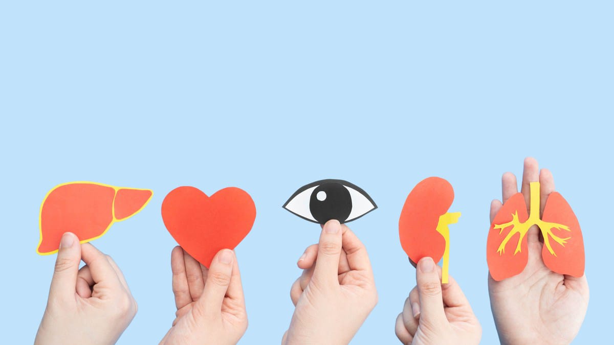 Amor por la vida: Donemos nuestros órganos