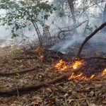 Nicaragua: Se verificó y atendió 7 incendios en las últimas horas