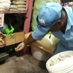 Reportan menos contagios de Leptospirosis y Malaria en la última semana en Nicaragua