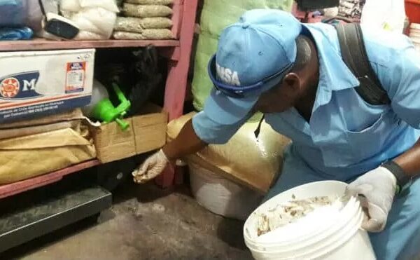 Reportan menos contagios de Leptospirosis y Malaria en la última semana en Nicaragua