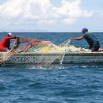 Sector pesquero y agrícola en Nicaragua con resultados positivos