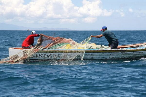 Sector pesquero y agrícola en Nicaragua con resultados positivos