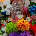 MEFCCA anuncia feria en honor a Santo Domingo de Guzmán