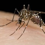 Dengue y Malaria presentan incrementos preocupantes, mientras que Neumonía muestra disminución