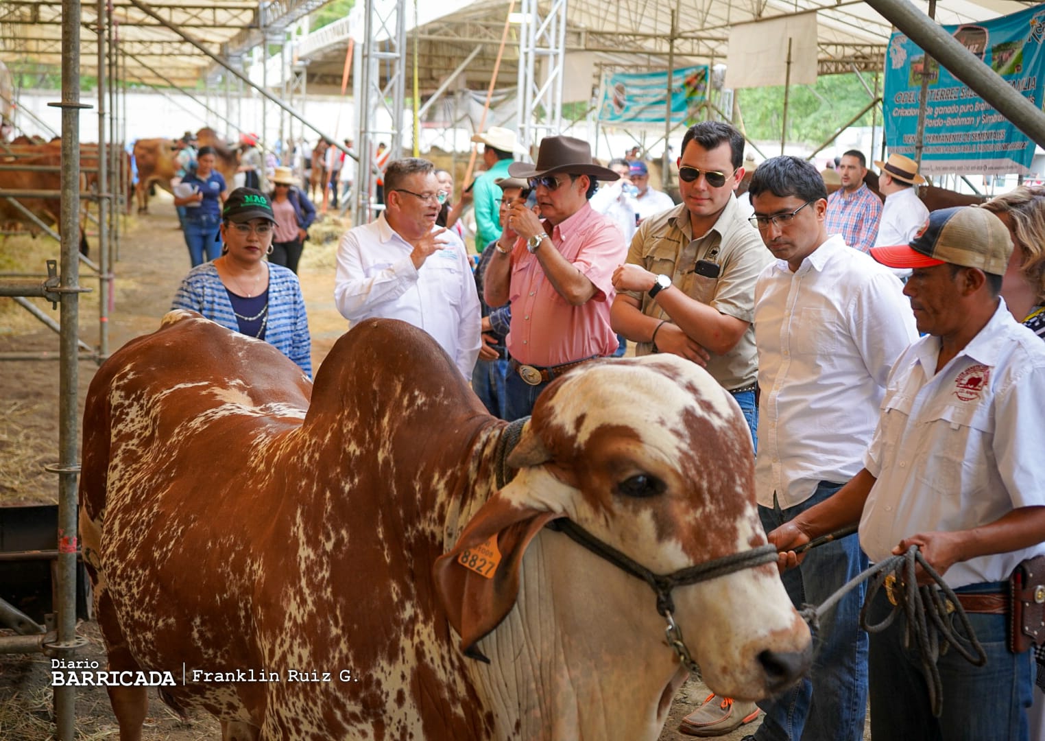 Feria Ganadera Managua 2023: Un Rotundo Éxito que Impulsa el Sector Agropecuario