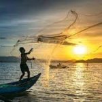 Sector pesquero con gran impacto y producción