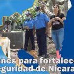 Presentamos los Resultados de los Planes de Prevención y Seguridad para la Protección de Mujeres y Familias en Nicaragua