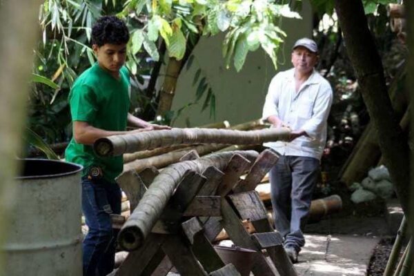 Bambú CEN: Un Oasis Sostenible en Matagalpa que Transforma Vidas y Naturaleza