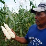 FINCA DE TECNOLOGÍAS AGROPECUARIAS“HÉROES DE LA RAMPLA”, EN SIUNA