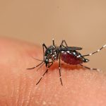 Nicaragua reporta disminución de contagios de Malaria, Dengue y Neumonía