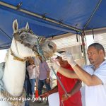 Comuna capitalina habilita nuevo centro de transferencia para desechos sólidos en el Distrito VI
