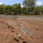 Costa Rica decreta alerta amarilla por sequia hídrica