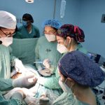 Nicaragua cuenta con altos estándares de calidad en cirugía fetal.