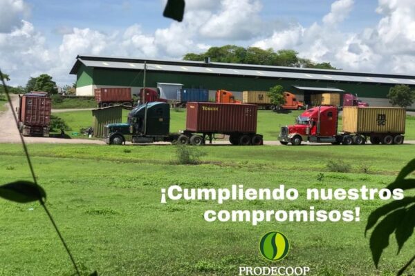 PRODECOOP R.L Introduce su Café de Taza por Excelencia en China