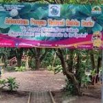 Nicaragua Verde: Un Camino de Éxito en el Manejo Responsable de Nuestros Recursos Forestales